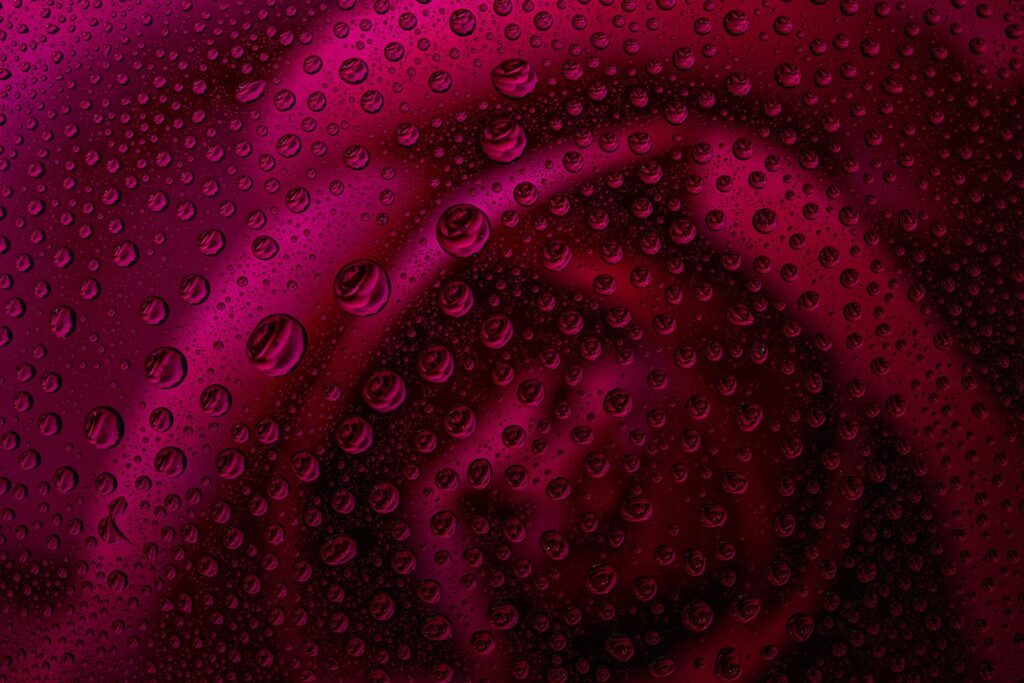 Rose Droplets