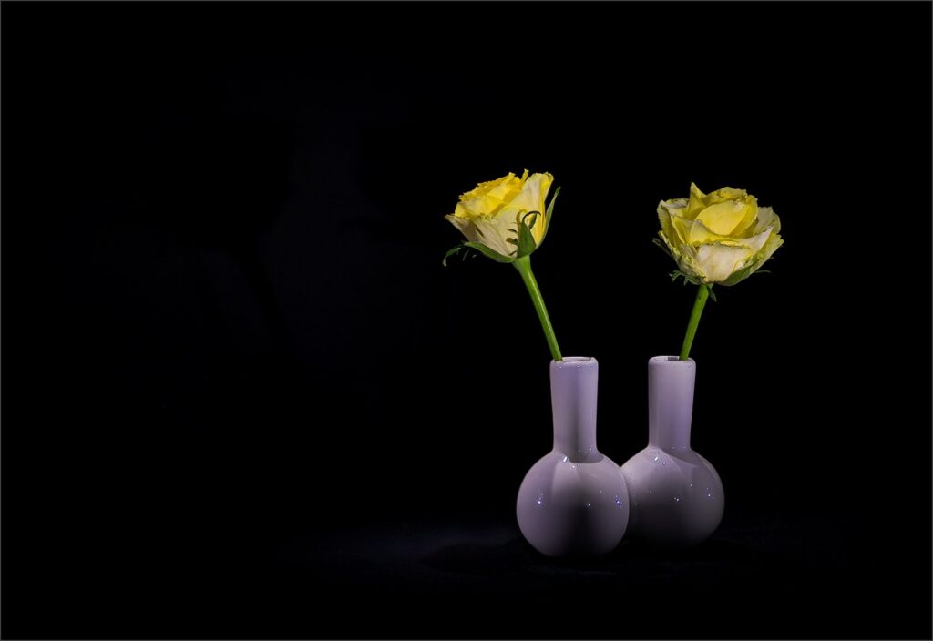 Roses by Flashlight
