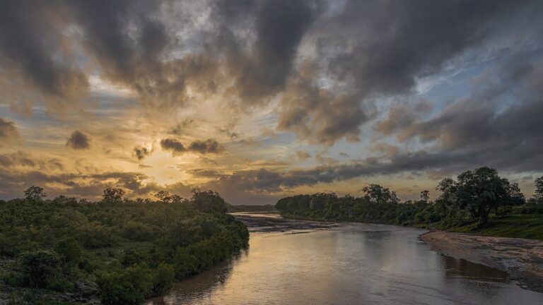 Shingwedzi Dawn before the flood, Anita Bester
