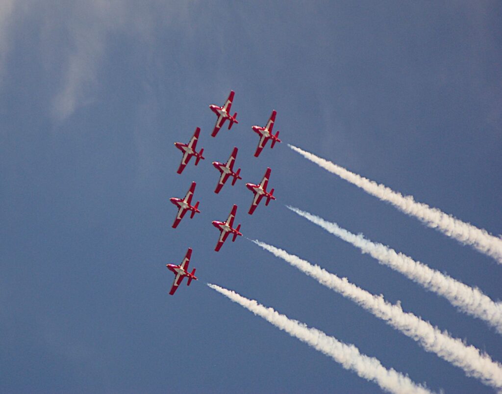 Snow birds