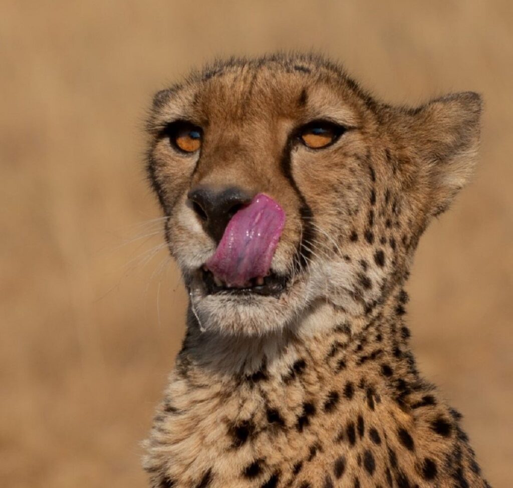 That was Tasty