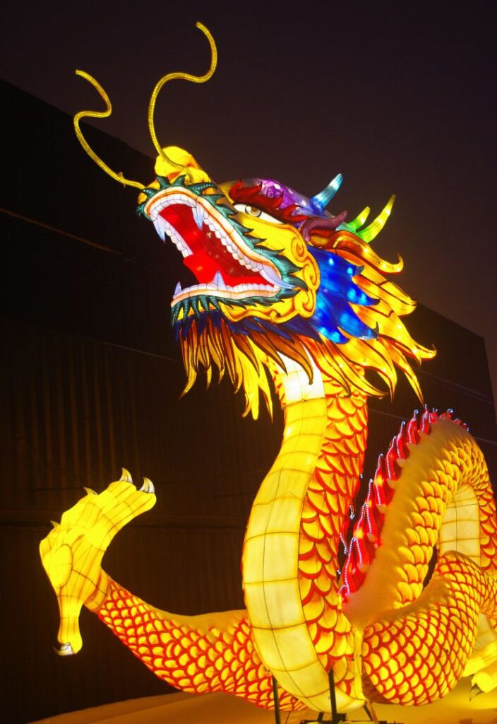 The dragon