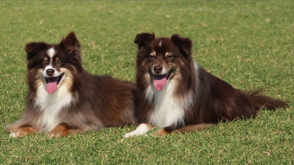 Twins Resting
