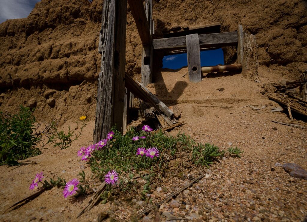 Uit die Ruines