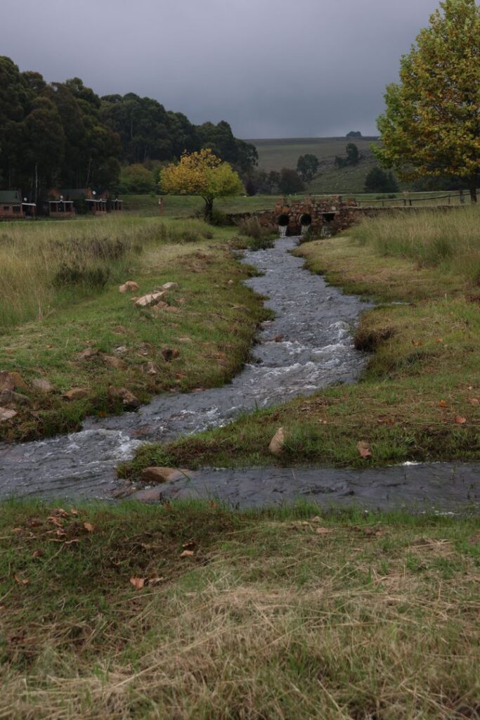 Up Stream