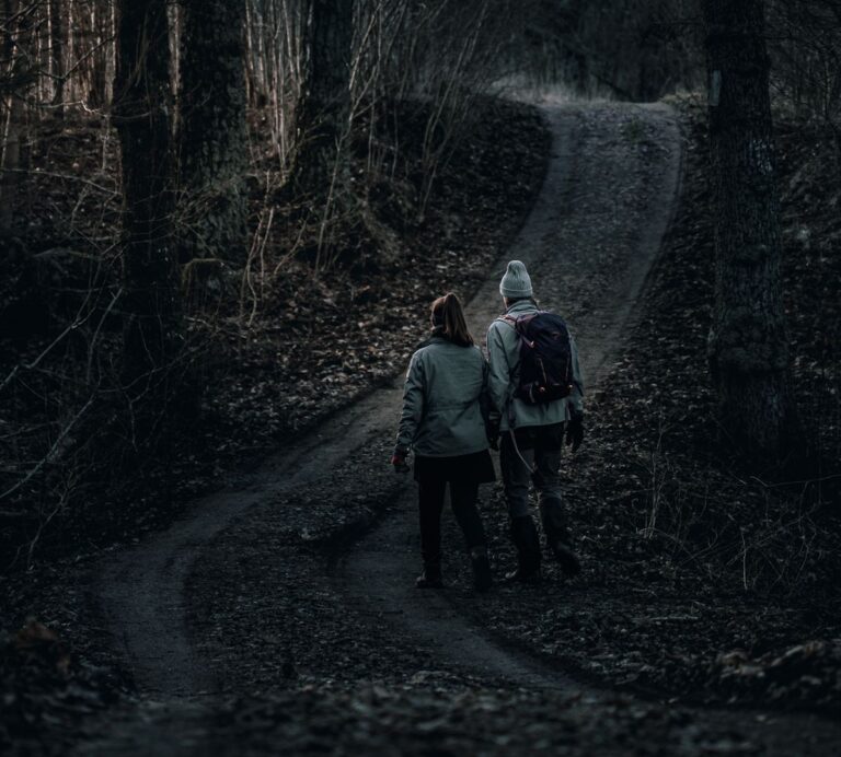 Walk Home, Deidre Schnetler