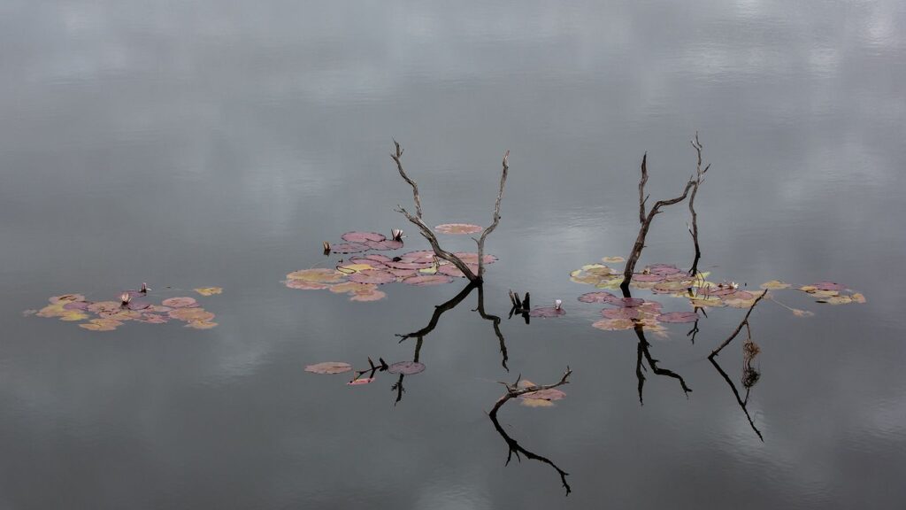 Water Grave