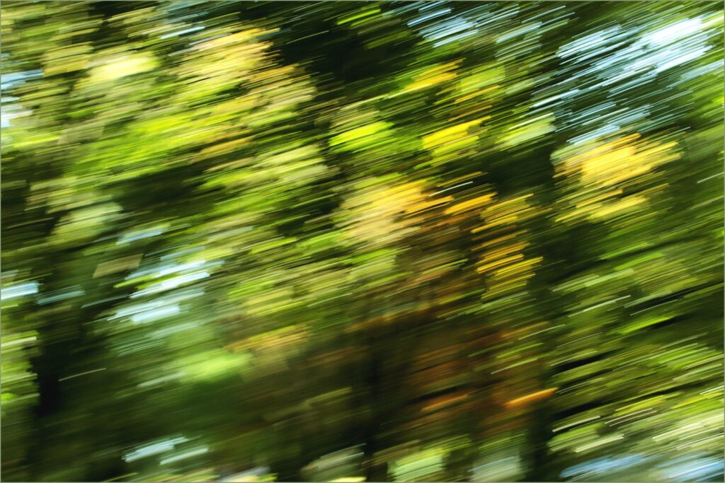 Whirlwind Autumn