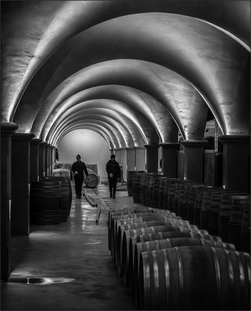 Wine Cellar