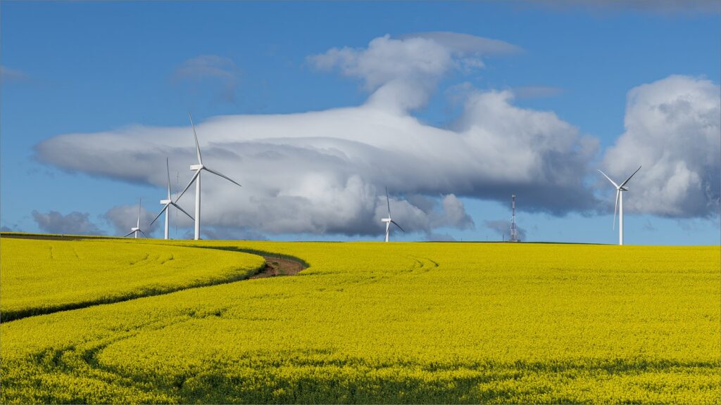 Fields of Motion