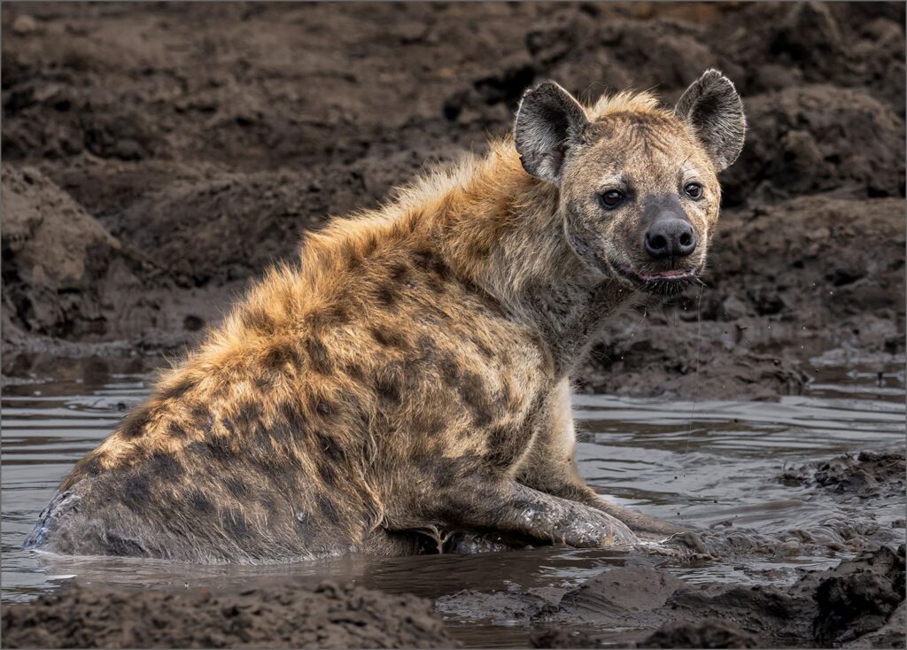 Cooling down