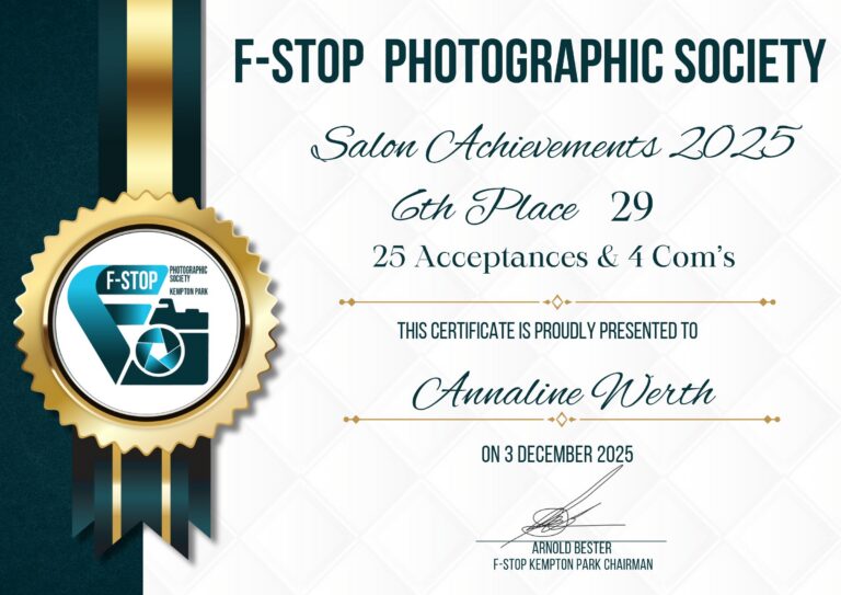 Salon achievements 2025