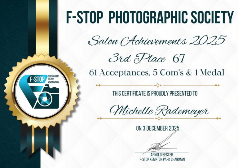 Salon achievements 2025