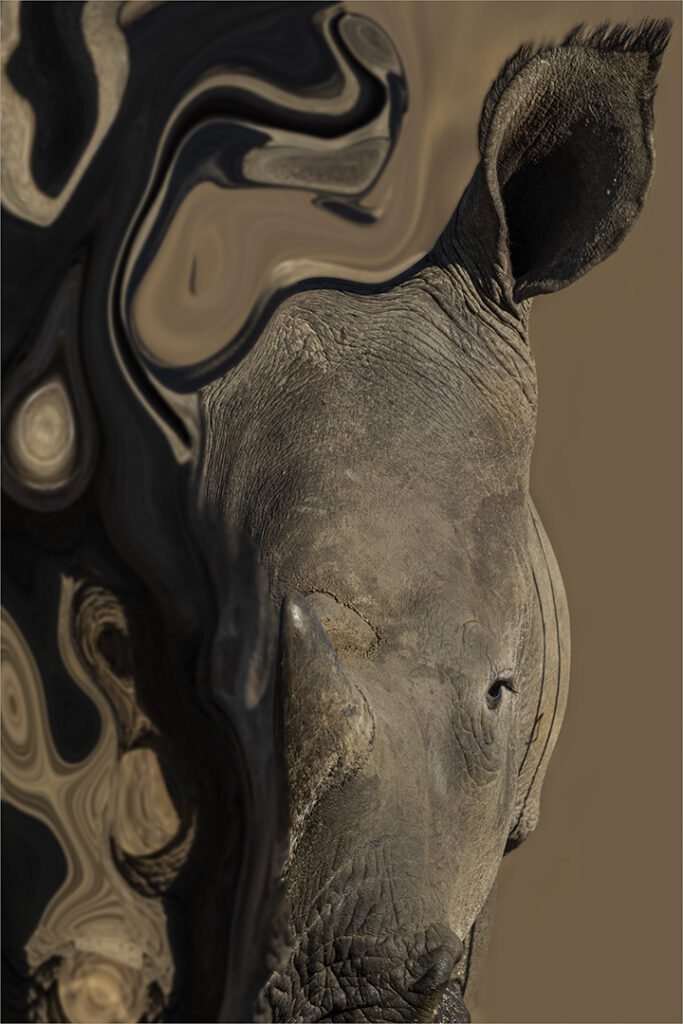 Distorted Future