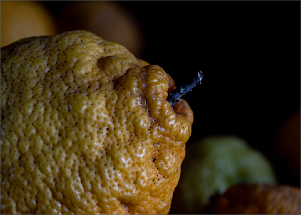 When Life Gives You Lemons