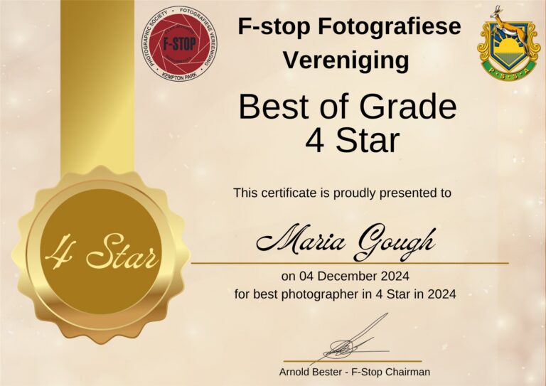 Best of Grade 4 Star