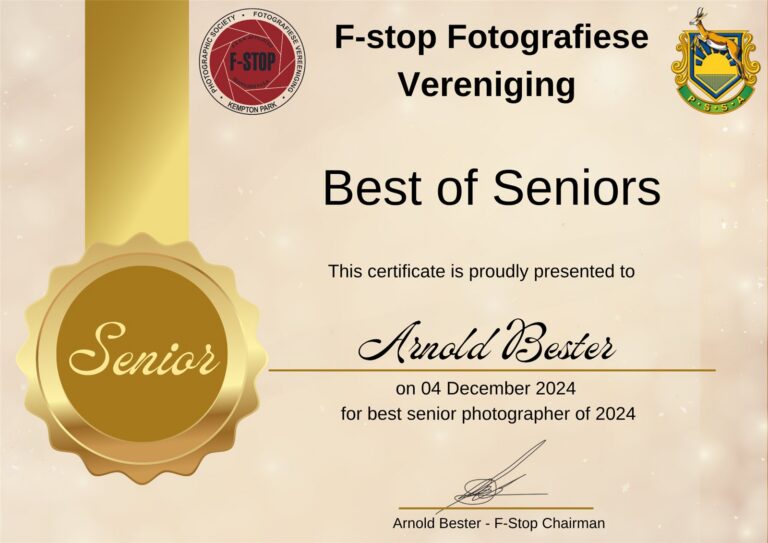 Best of Seniors
