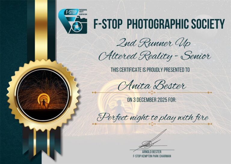 2nd Runner Up Altered Reality Senior