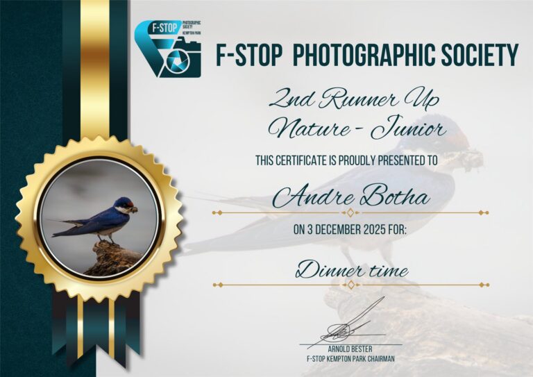 2nd Runner Up Nature Junior