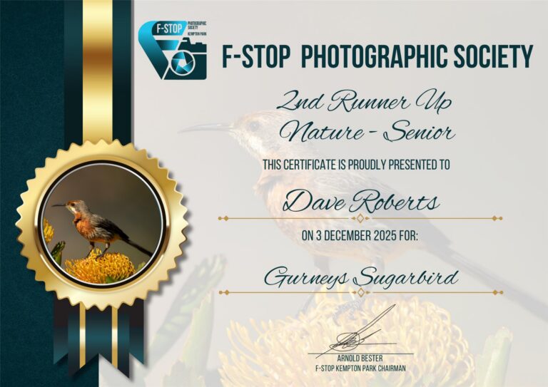 2nd Runner Up Nature Senior