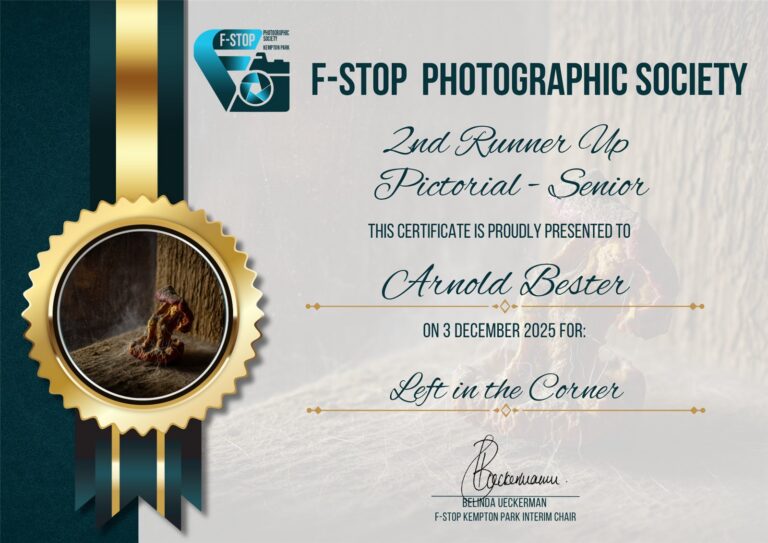 2nd Runner Up Pictorial Senior