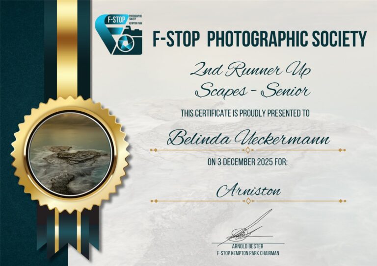 2nd Runner Up Scapes Senior