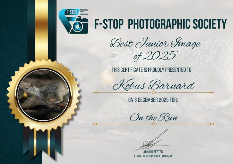 Best Junior Image of 2025