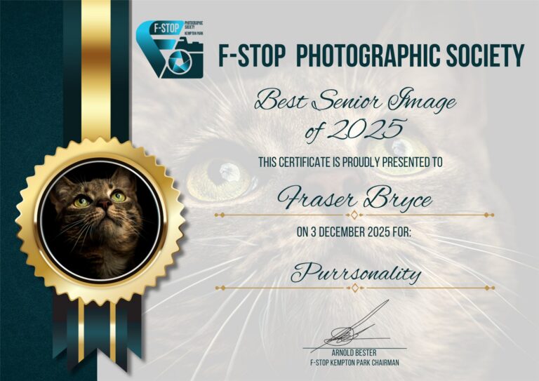 Best Senior Image of 2025