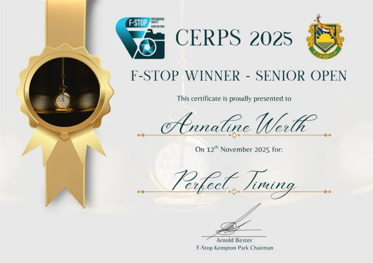 Winner Senior Open