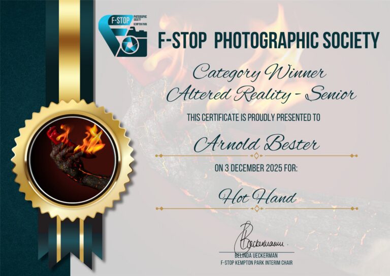 Category Winner Altered Reality Senior