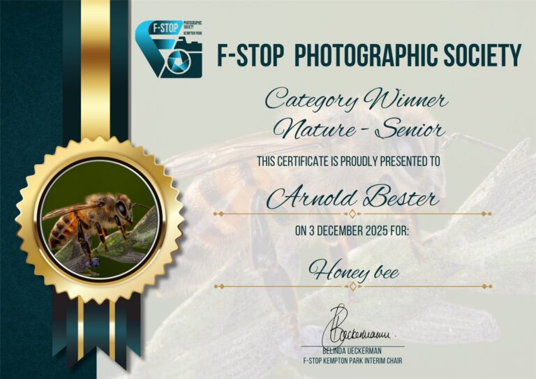 Category Winner Nature Senior