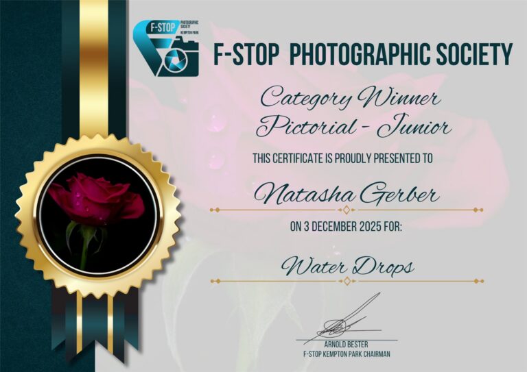 Category Winner Pictorial Junior