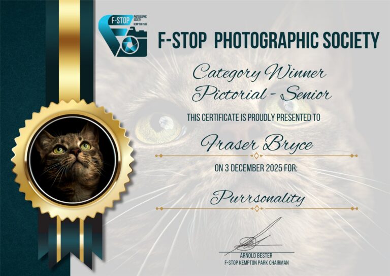 Category Winner Pictorial Senior