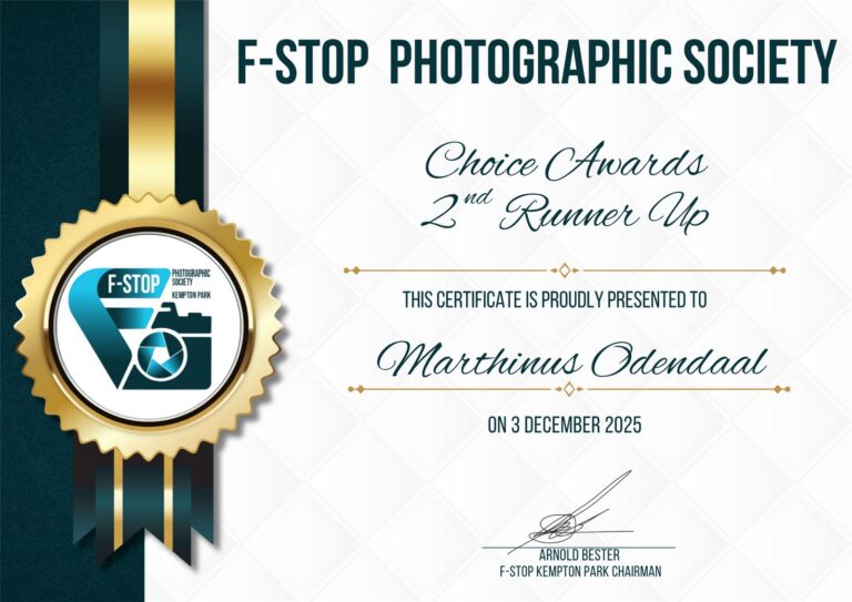 Choice Awards 2nd Runner Up
