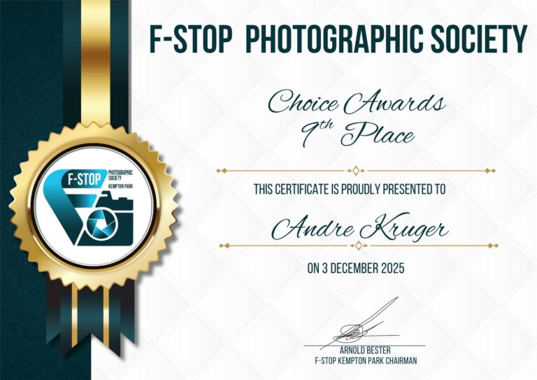 Choice Awards 9th Place