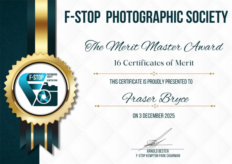 Merit Master Award 16 Certificates of Merit