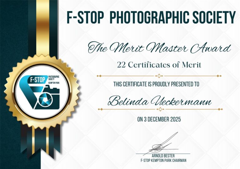 Merit Master Award 22 Certificates of Merit