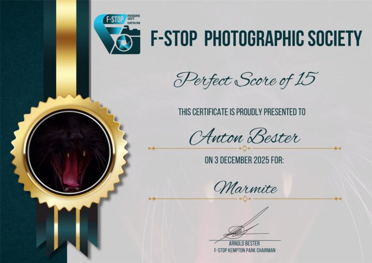 Perfect Score of 15