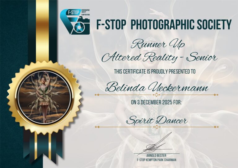 Runner Up Altered Reality Senior