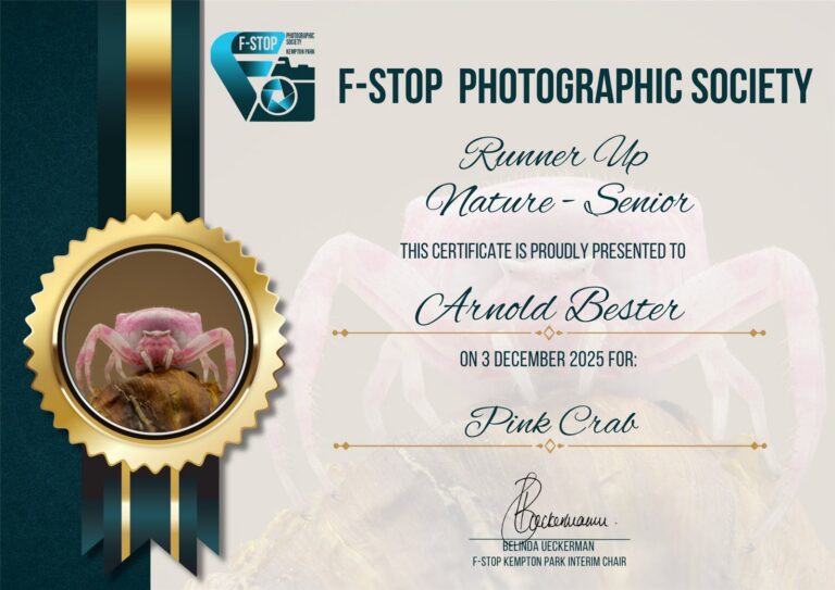 Runner Up Nature Senior