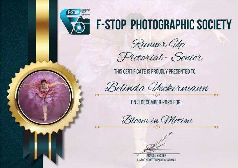 Runner Up Pictorial Senior