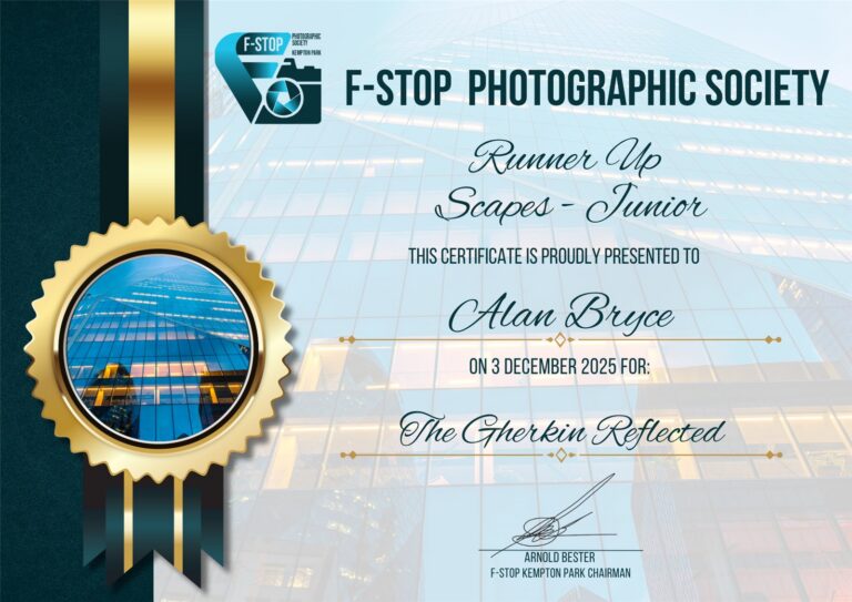Runner Up Scapes Junior