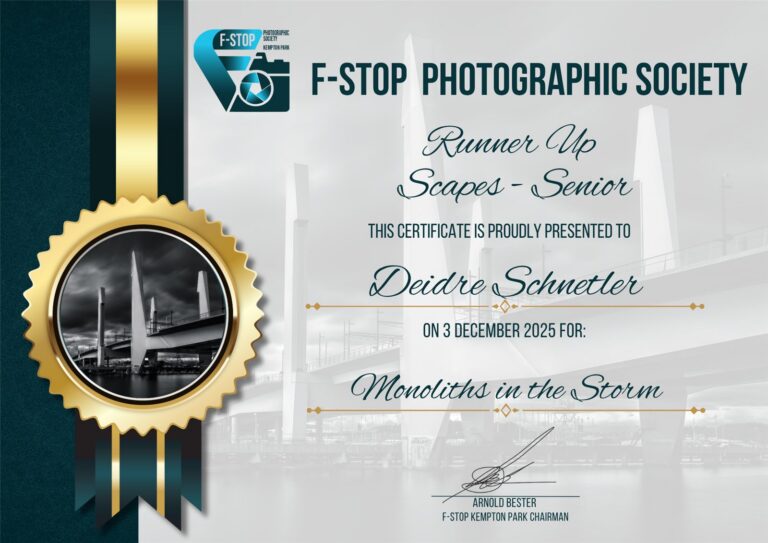 Runner Up Scapes Senior
