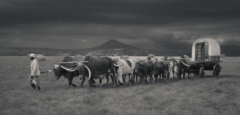 Road of the Ancestors, Theressa Jansen van Vuuren