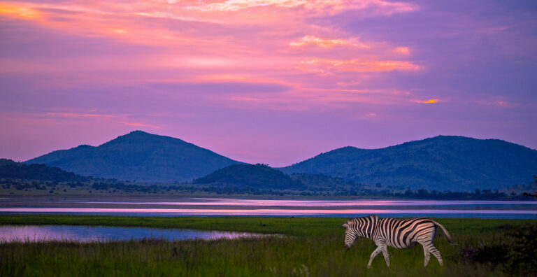 African sunset, David Roberts