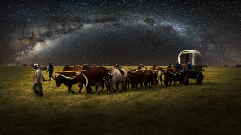 Night Travel, Arnold Bester