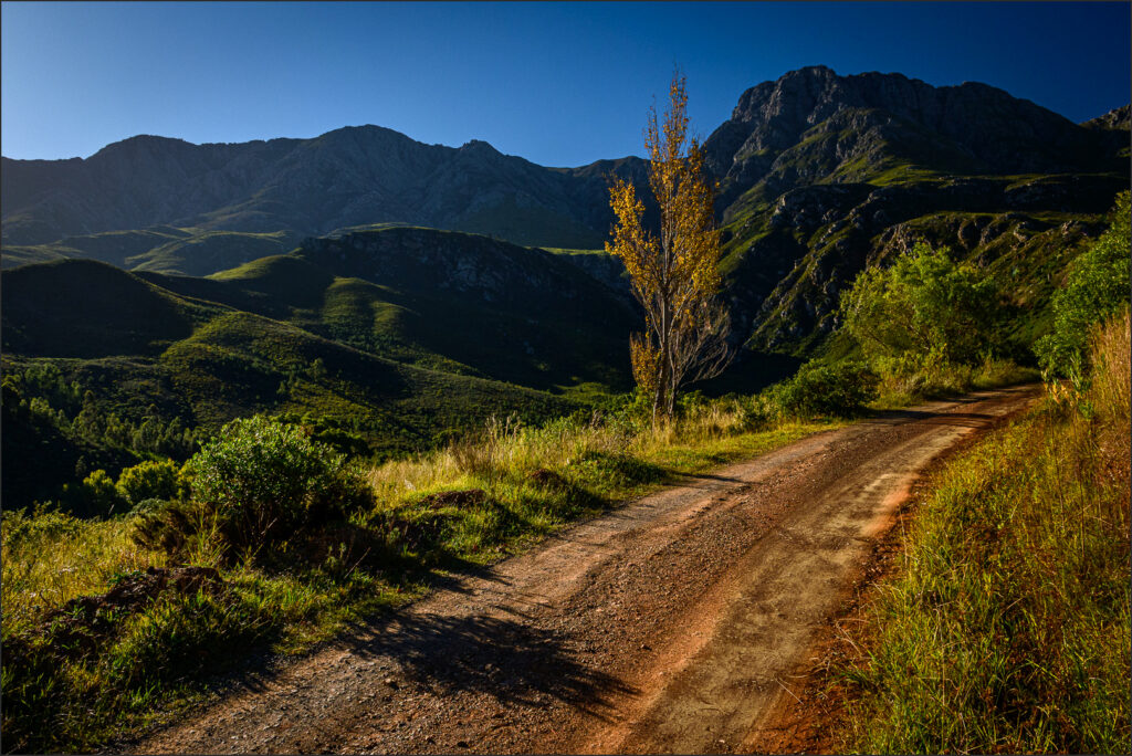 Mountain Dirt Road