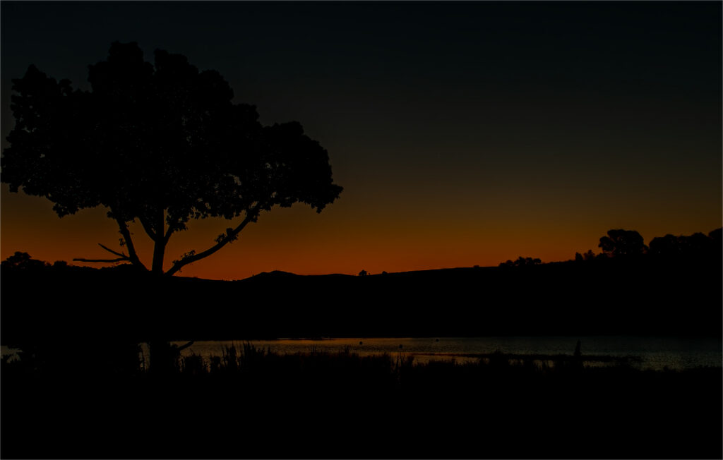 Sunset Behind the Tree