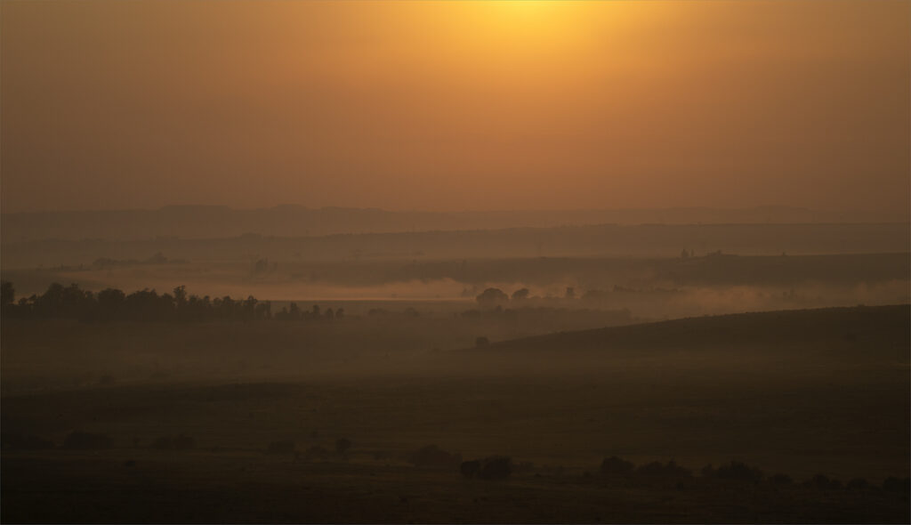 Misty Morning, Andries Francois Botha