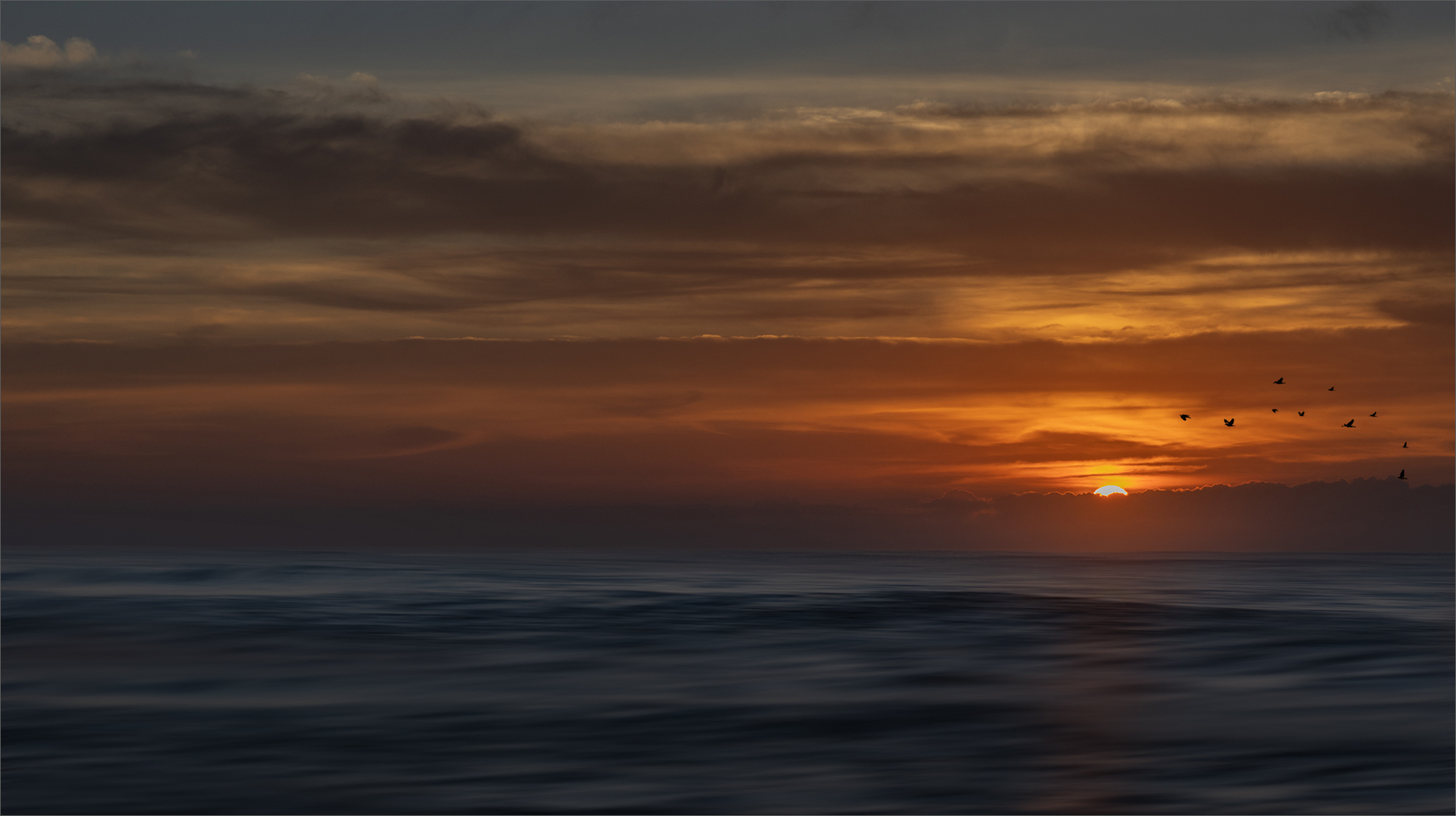 Sunrise, Annaline Werth